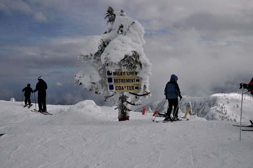 Mount Washington Ski Resort by: Oscar Grubwieser