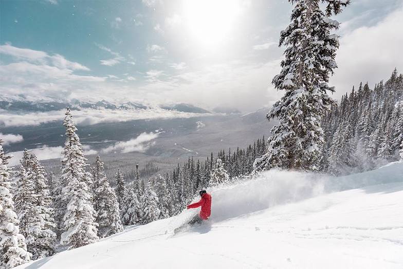 28cm of new snow, Marmot Basin