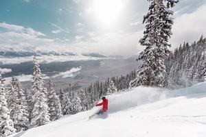28cm of new snow, Marmot Basin photo