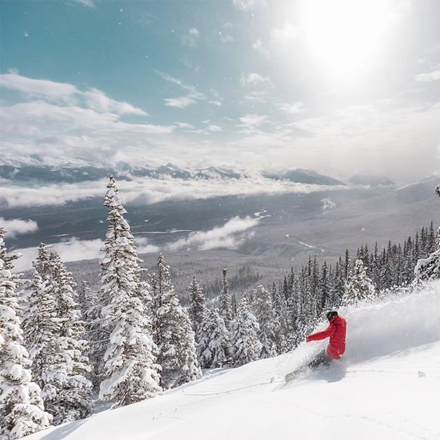 28cm of new snow, Marmot Basin