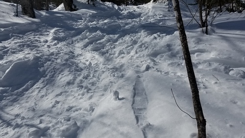 Burke Mountain Ski Resort by: William Tarkulich