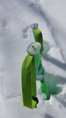 Burke Mountain Ski Resort by: William Tarkulich