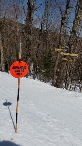 Mad River Glen Ski Resort by: William Tarkulich