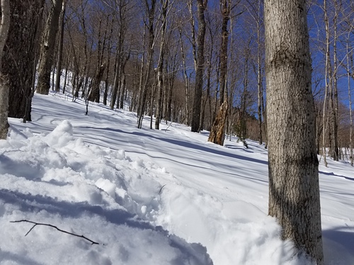 Mad River Glen Ski Resort by: William Tarkulich