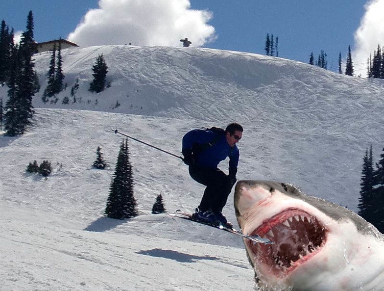 Ski Shark!, Whistler Blackcomb