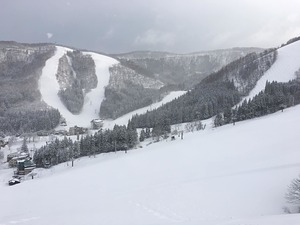 After a fairly dry March, a snowy start to April., Nozawa Onsen photo