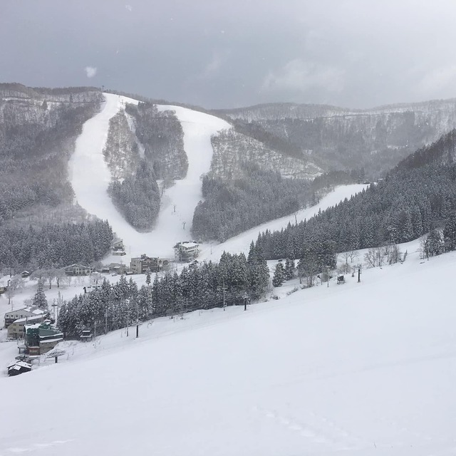 After a fairly dry March, a snowy start to April., Nozawa Onsen