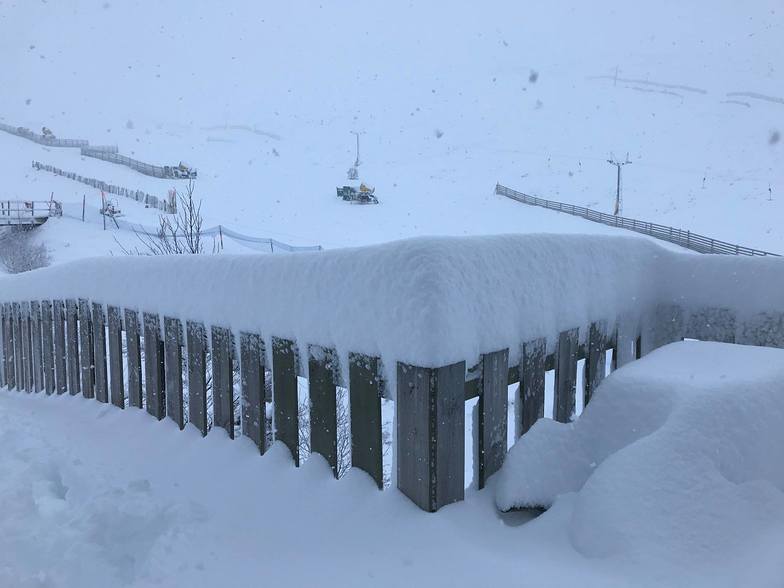 40cm fresh snow overnight in Scotland., Cairngorm