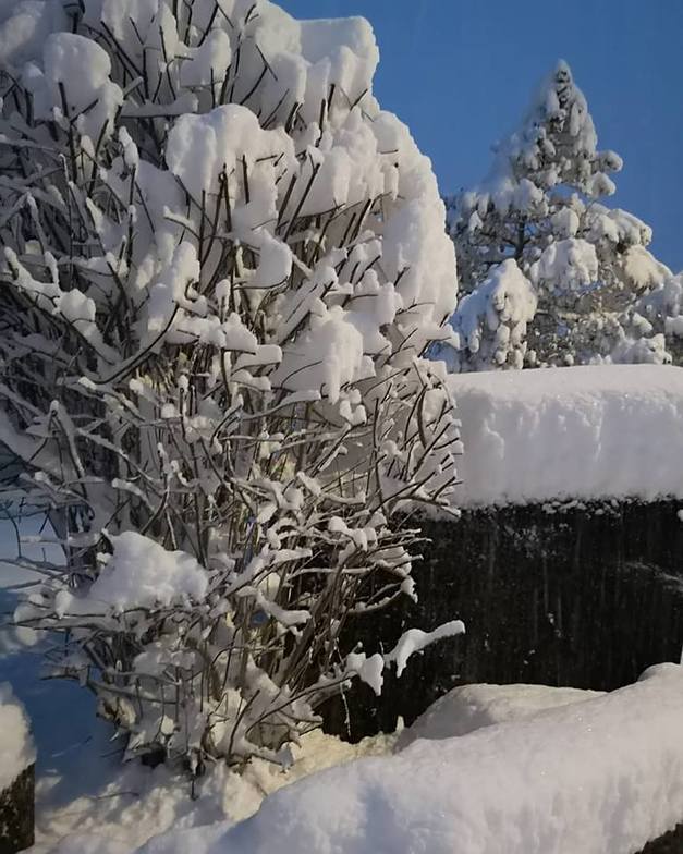 20cm in resort, 40cm at 2000m, Engelberg