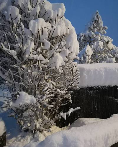 Engelberg Ski Resort by: Snow Forecast Admin