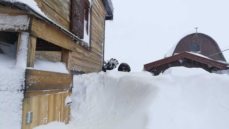 More than a metre of snow in the Dolomites in the last few days., Campitello