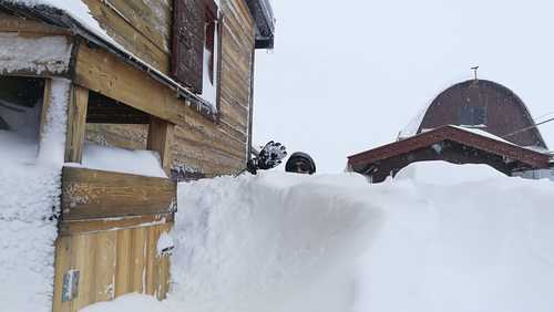 Campitello Ski Resort by: Snow Forecast Admin