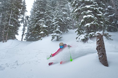 Alta Ski Resort by: Snow Forecast Admin
