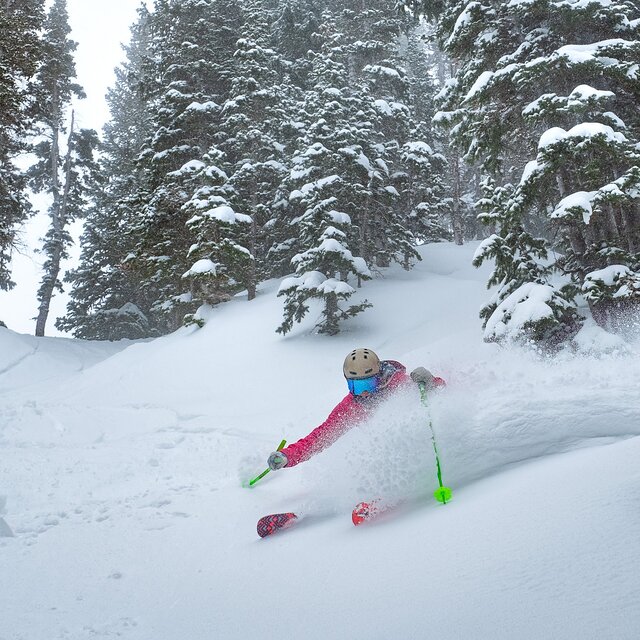 Alta Snow: Over 1.5m (5ft) of fresh snow in the last 7 days.