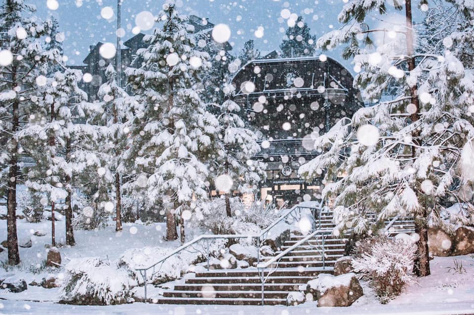 20cm (8 inches) overnight on Friday., Mammoth Mountain