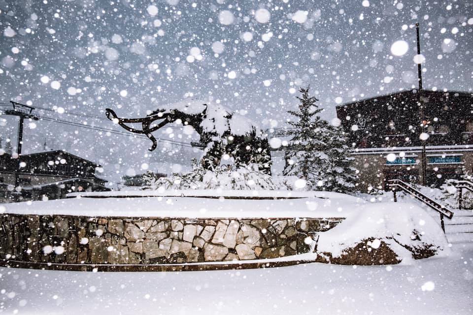 20cm (8 inches) overnight on Friday., Mammoth Mountain