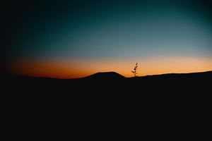 Whakapapa photo