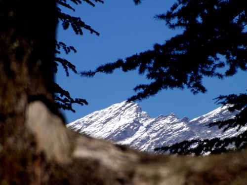 Manali (Himachal Heli-Ski) Ski Resort by: Snow Forecast Admin
