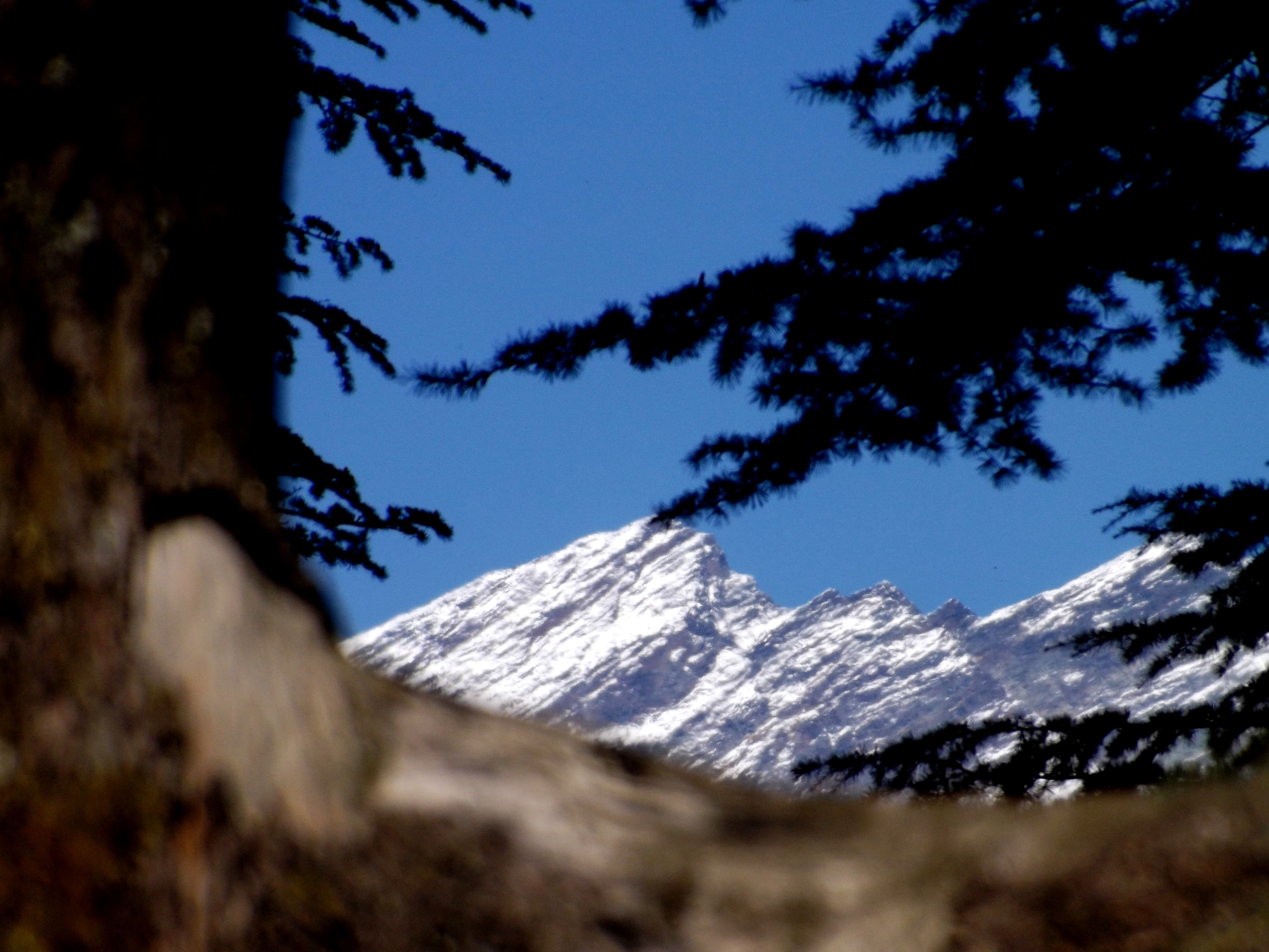 Manali, Manali (Himachal Heli-Ski)