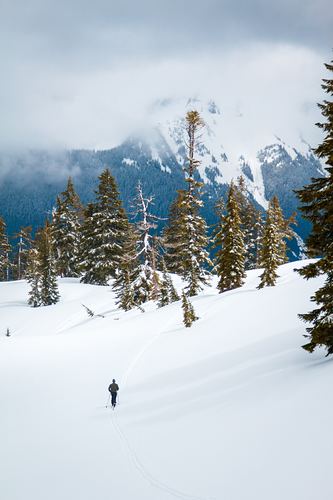 Mount Baker Ski Resort by: Snow Forecast Admin