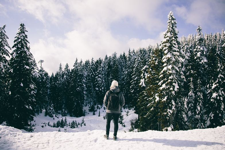 Mount Seymour, Mt Seymour