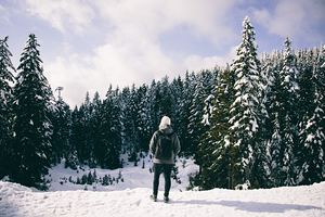 Mount Seymour, Mt Seymour photo