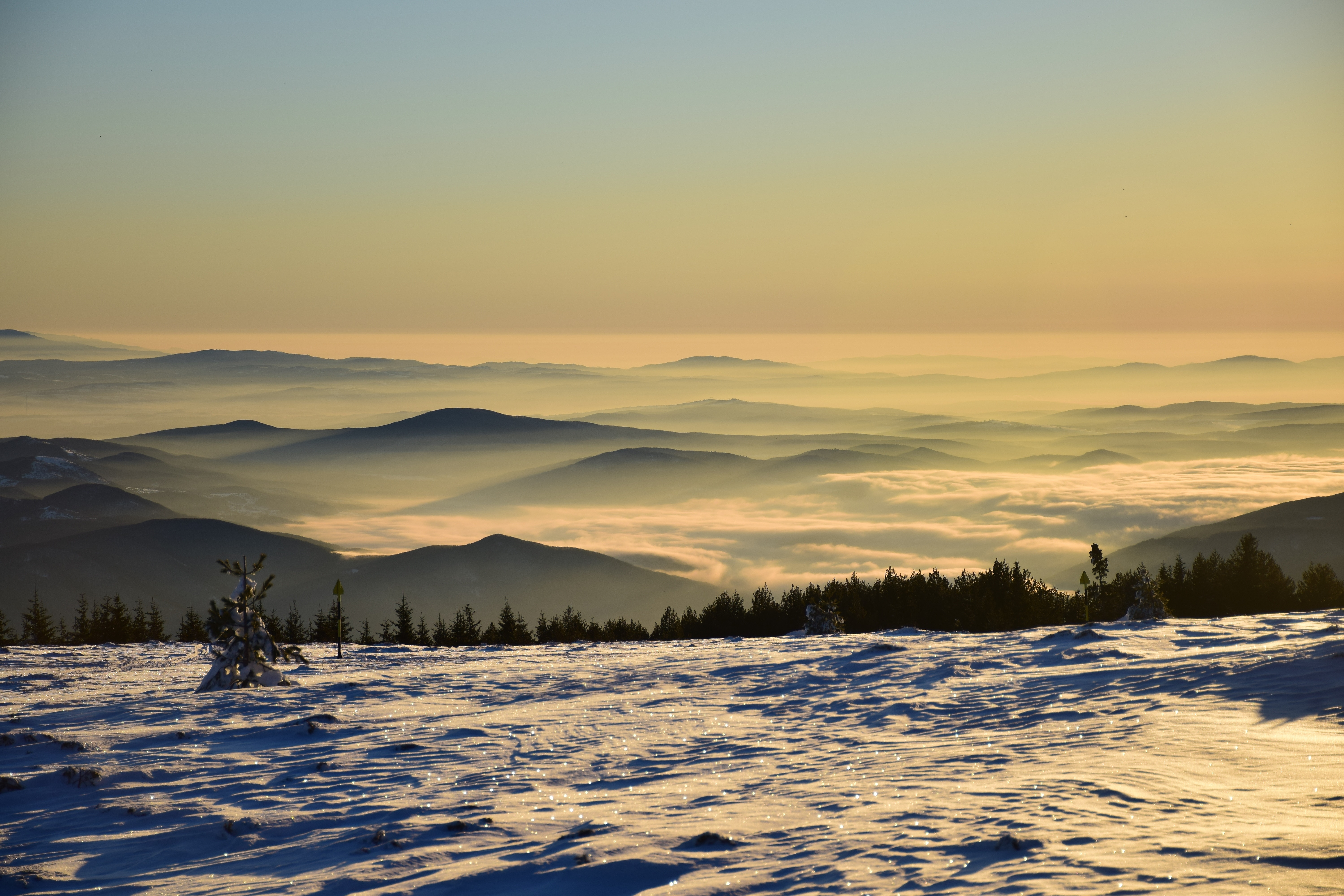 Vitosha
