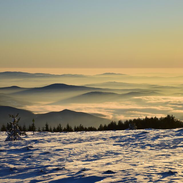 Vitosha