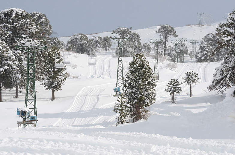 Caviahue Ski Resort. Temporada 2019