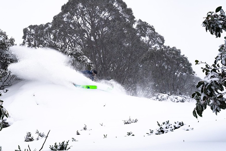 Fresh snow for the end of June., Falls Creek
