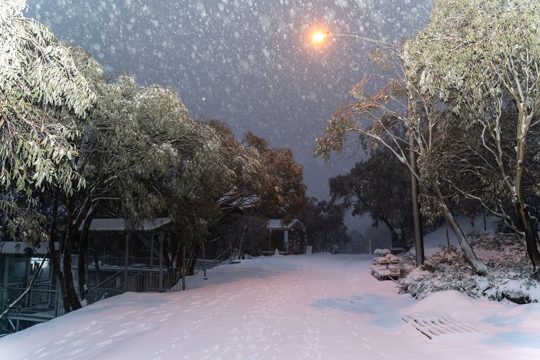 Fresh snow for the end of June., Falls Creek