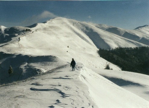 Sinaia snow