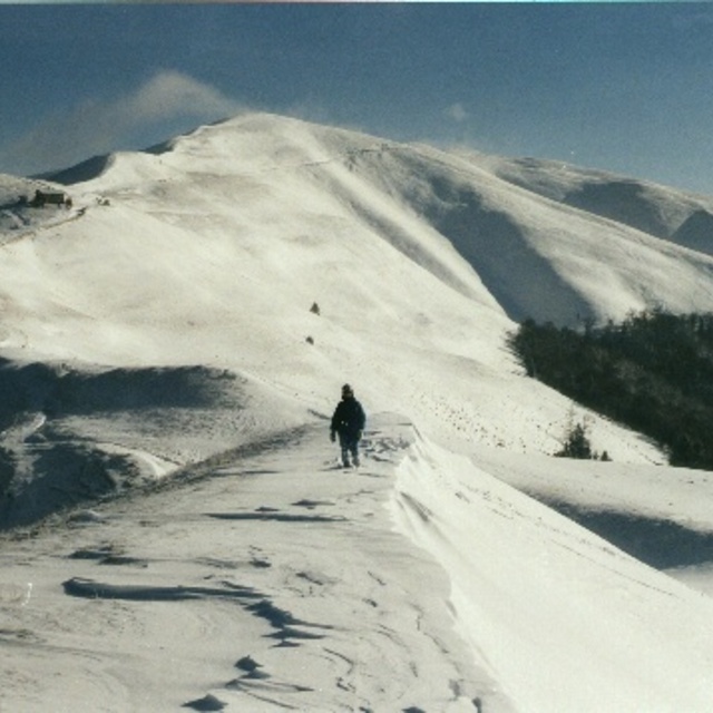 Looking for the way..., Sinaia