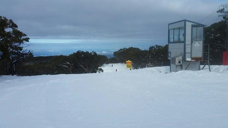 Good cover, Mount Baw Baw