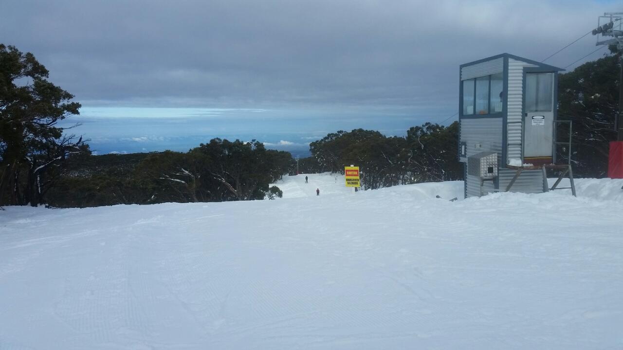 Good cover, Mount Baw Baw