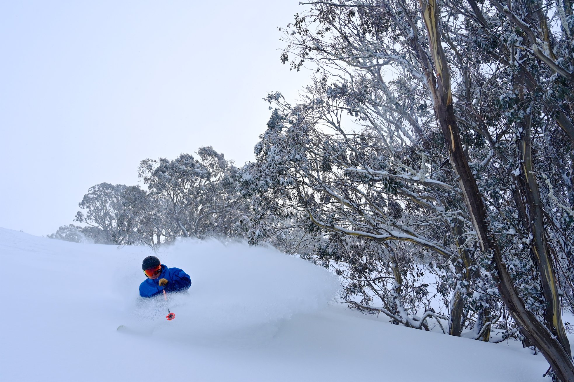 20cm in the past 24 hours., Mount Hotham