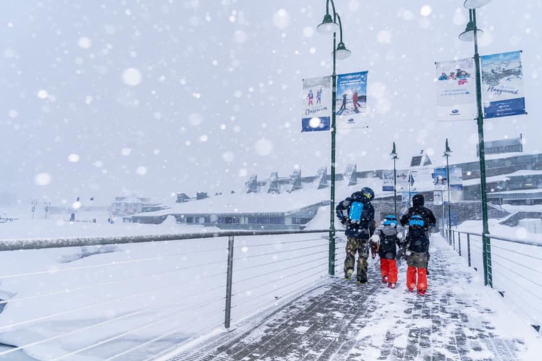 20cm in the past 24 hours., Perisher