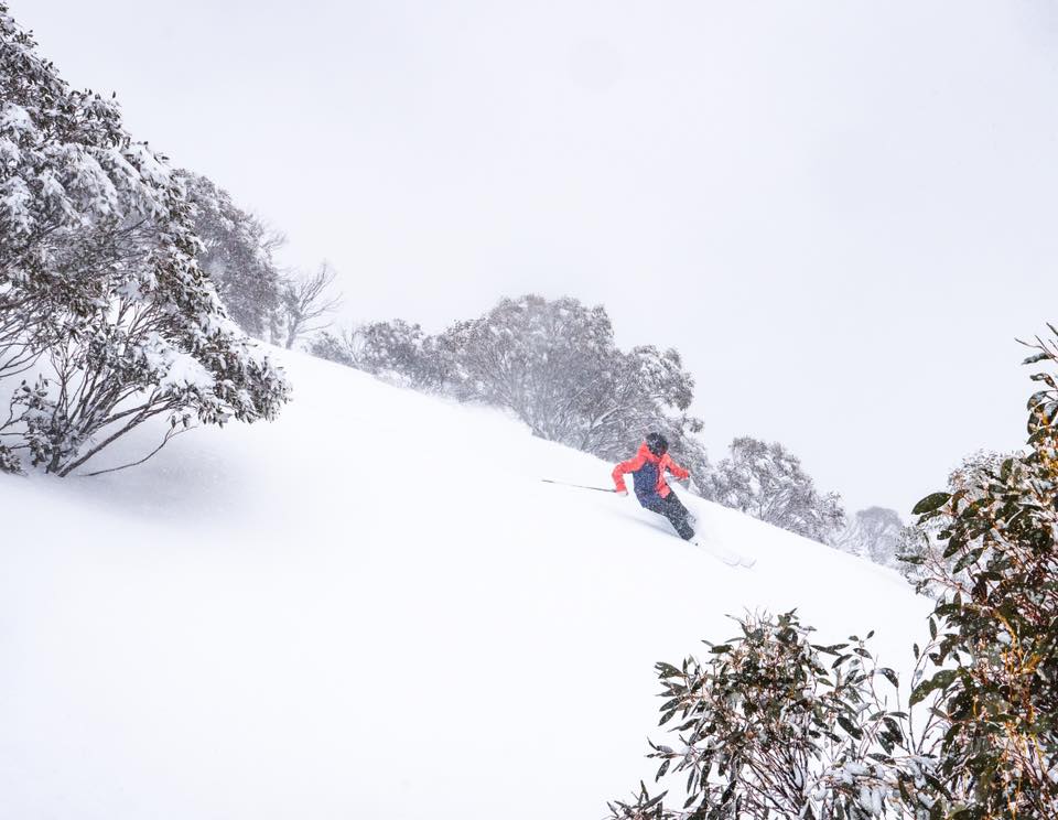 20cm of late season snow in 24 hours, Perisher