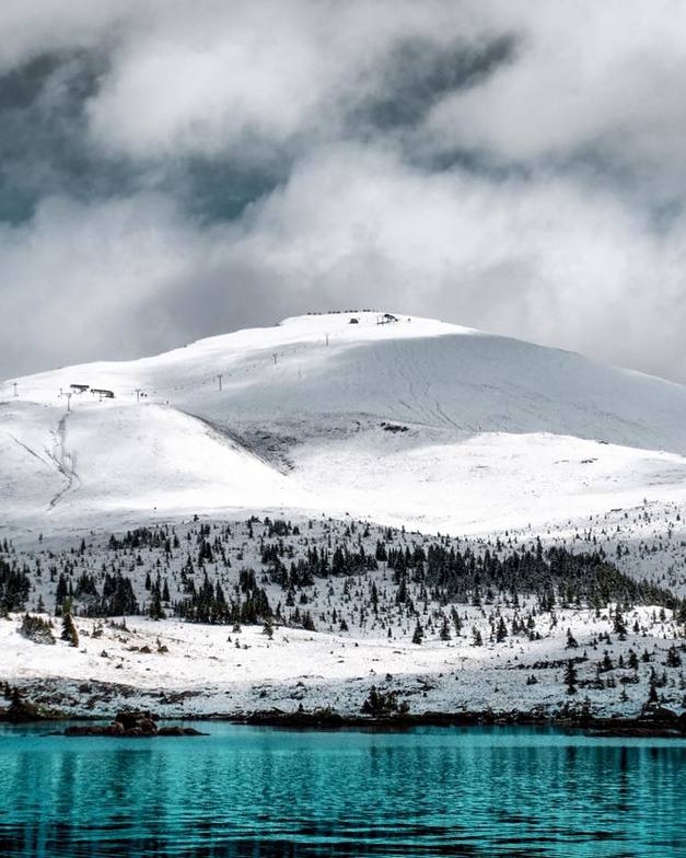 Looking good for autumn, Sunshine Village