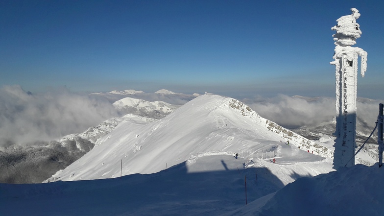 At the top of Apenine (Monte Gomito), Abetone