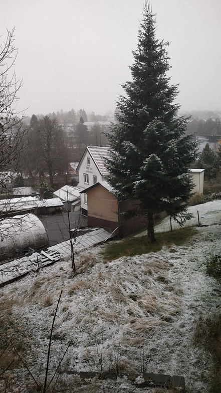 Snowfall on 16th November 2019, Clausthal-Zellerfeld/Buntenbock