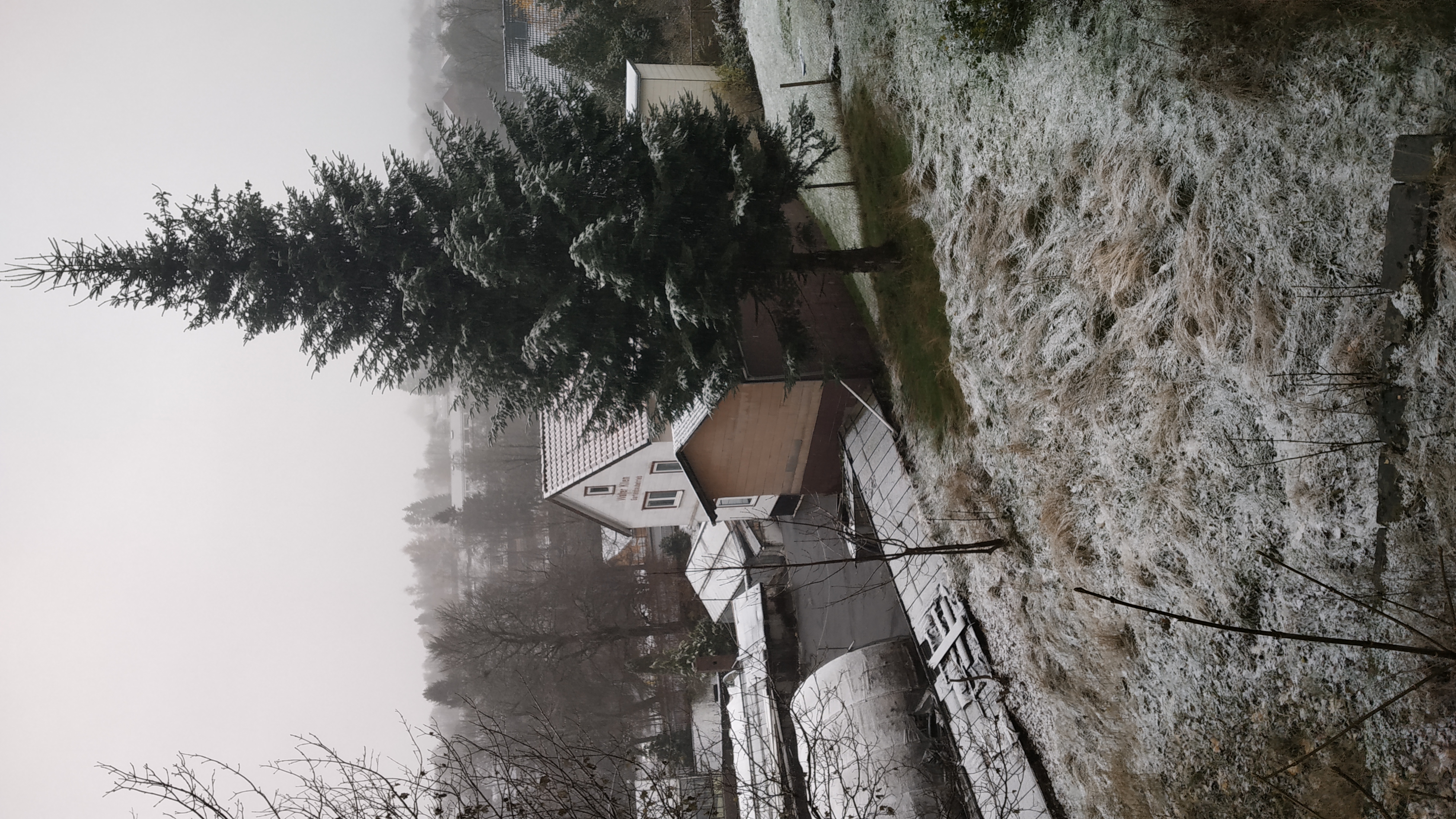 Snowfall on 16th November 2019, Clausthal-Zellerfeld/Buntenbock