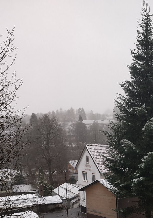 Snowfall on 16th November 2019, Clausthal-Zellerfeld/Buntenbock