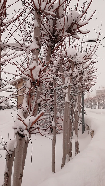 Lovely, Mzaar Ski Resort