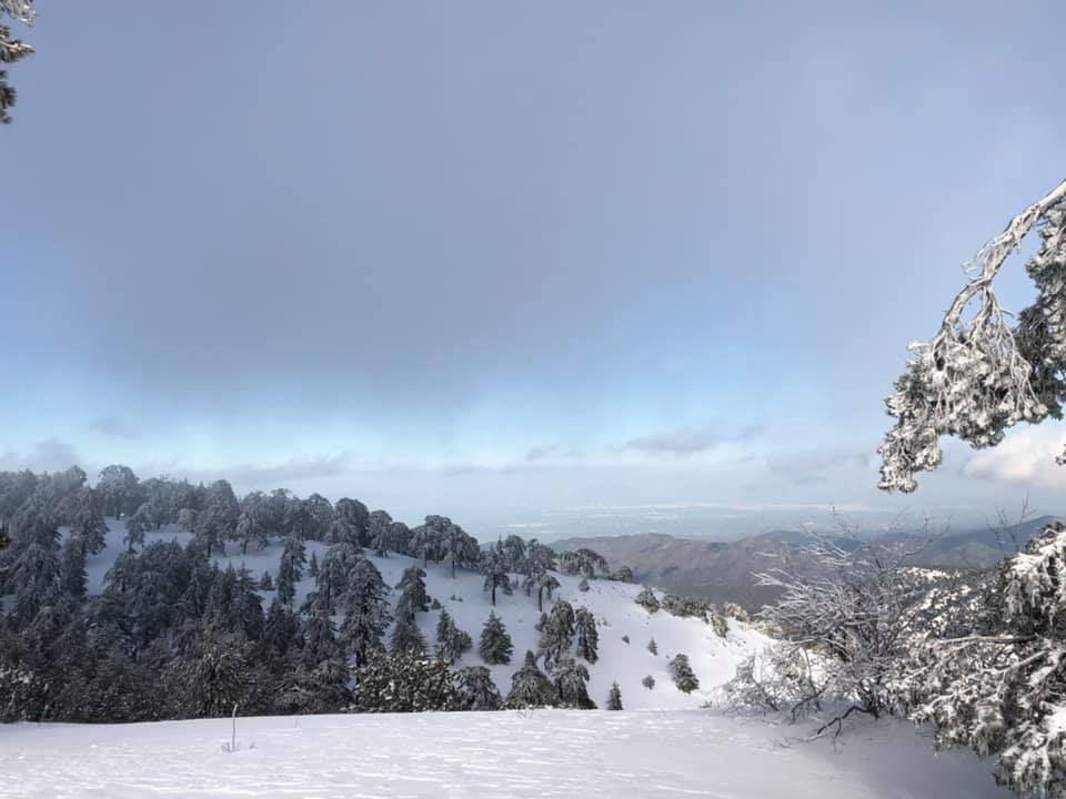 Troodos, Mt Olympus