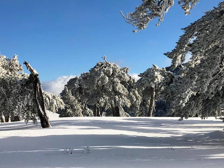 Troodos Snow, Mt Olympus