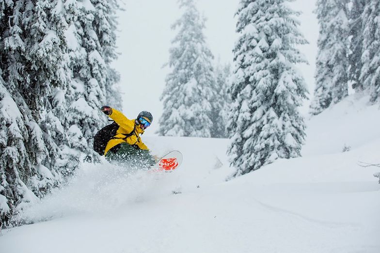 28cm of fresh snow in 24hrs..., Fernie