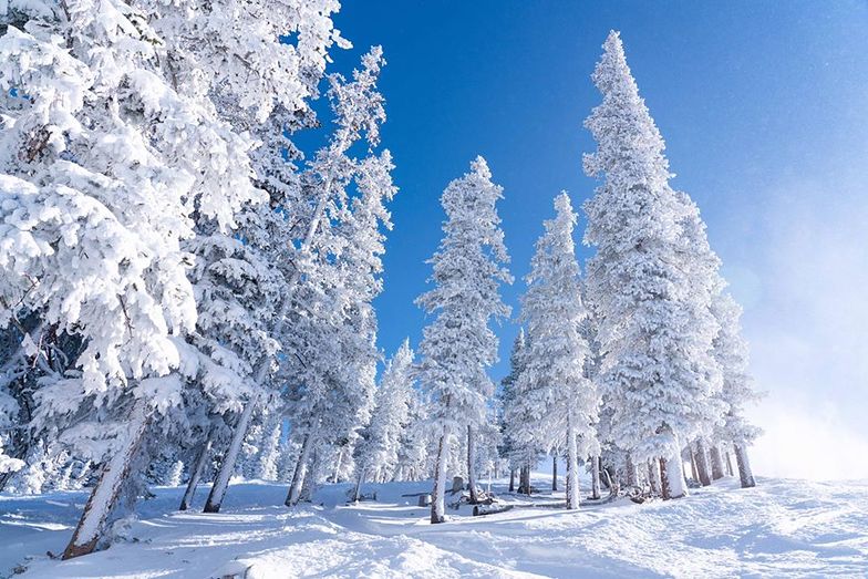 4ft/1.2m of snow in the last week, Keystone