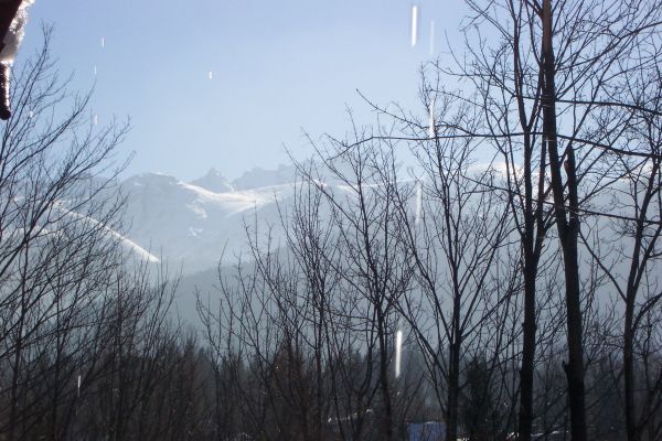 Poland - Zakopane - Powder!