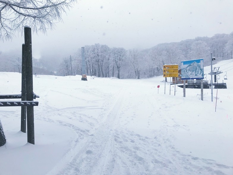 now open after warm weather, Nozawa Onsen